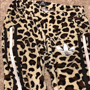cheetah print adidas tracksuit